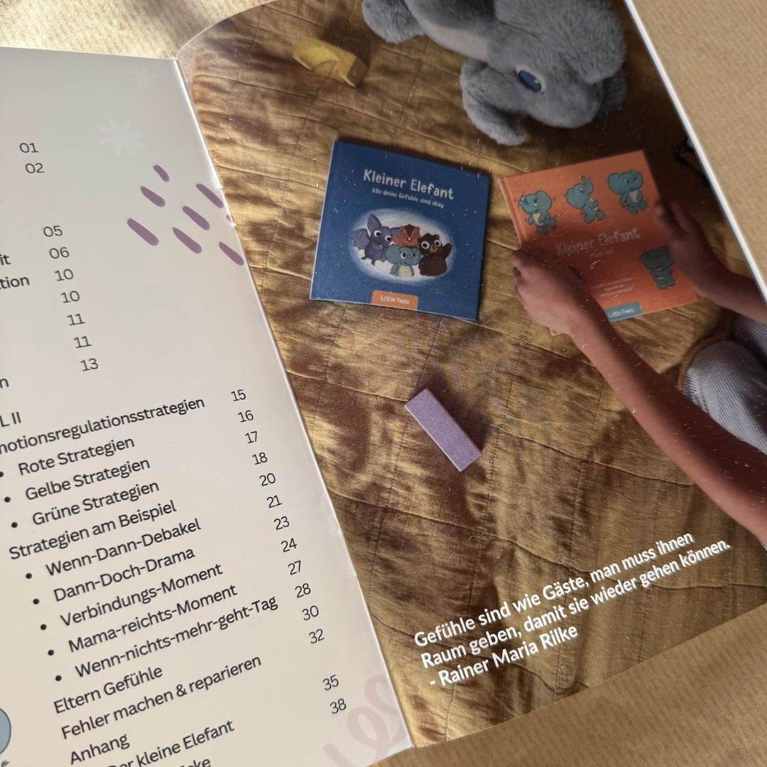 Der kleine Elefant: Begleiten & Regulieren
